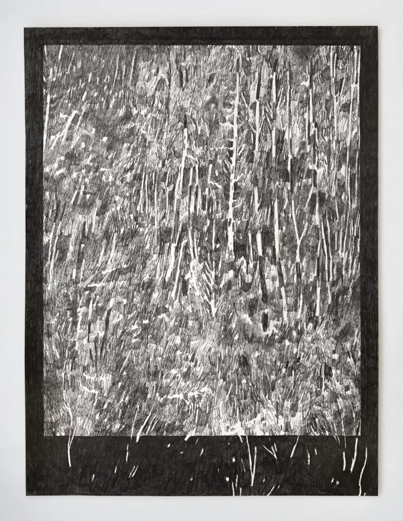 COLLECTE V _ graphite _ 30x40cm _ papier OLD MILL 700gr copie