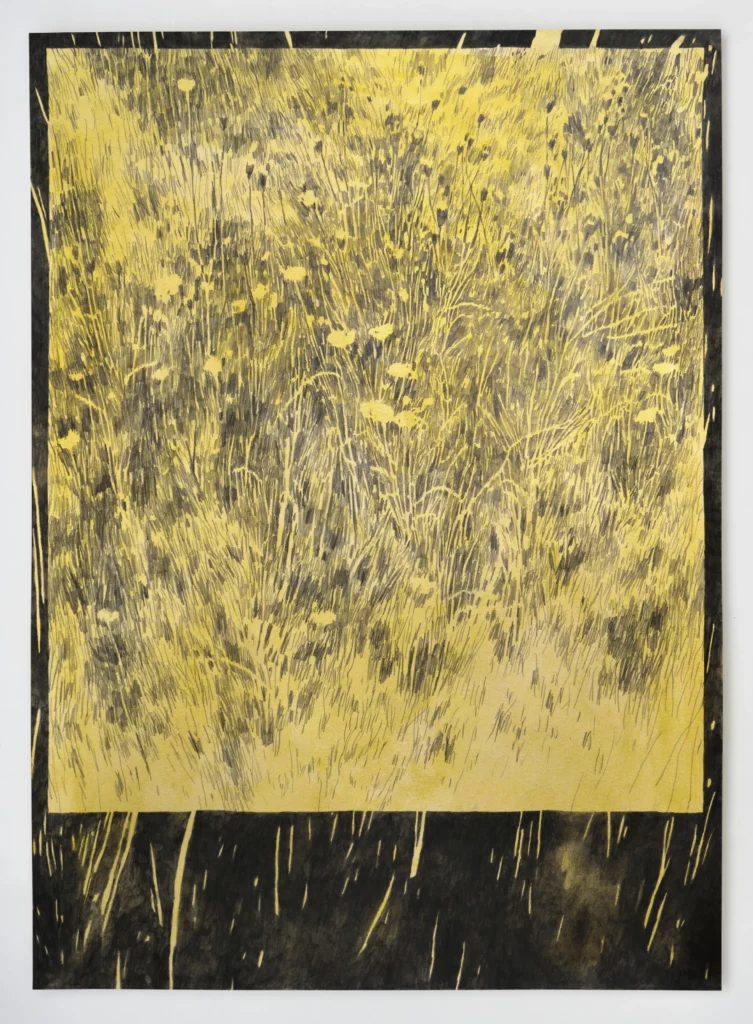 COLLECTE X _ Aquarelle & graphite _ 70x100cm _ Papier pur coton 710gr copie