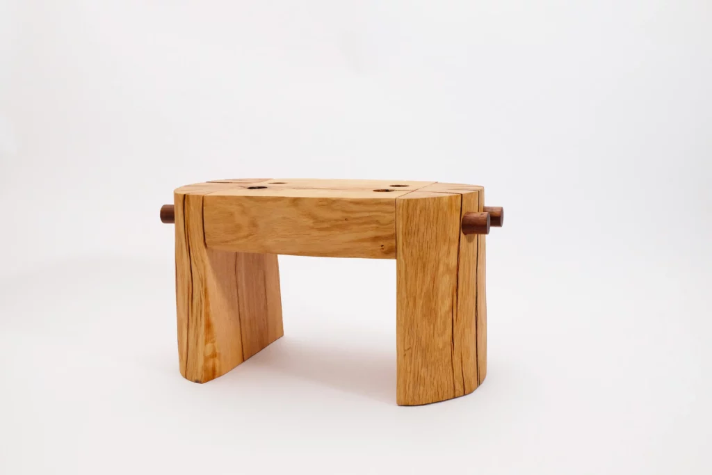 MARCHE-PIED-g-thireau-encore-vivant-galerie-mira copie