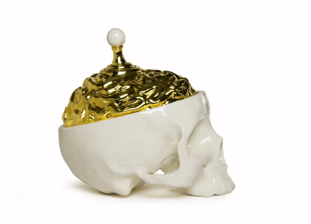 boite-cranienne-1 copie