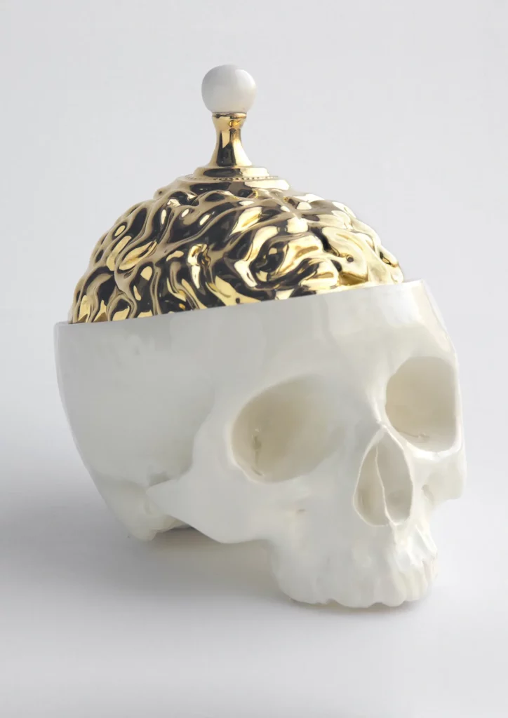 boite-cranienne-2 copie