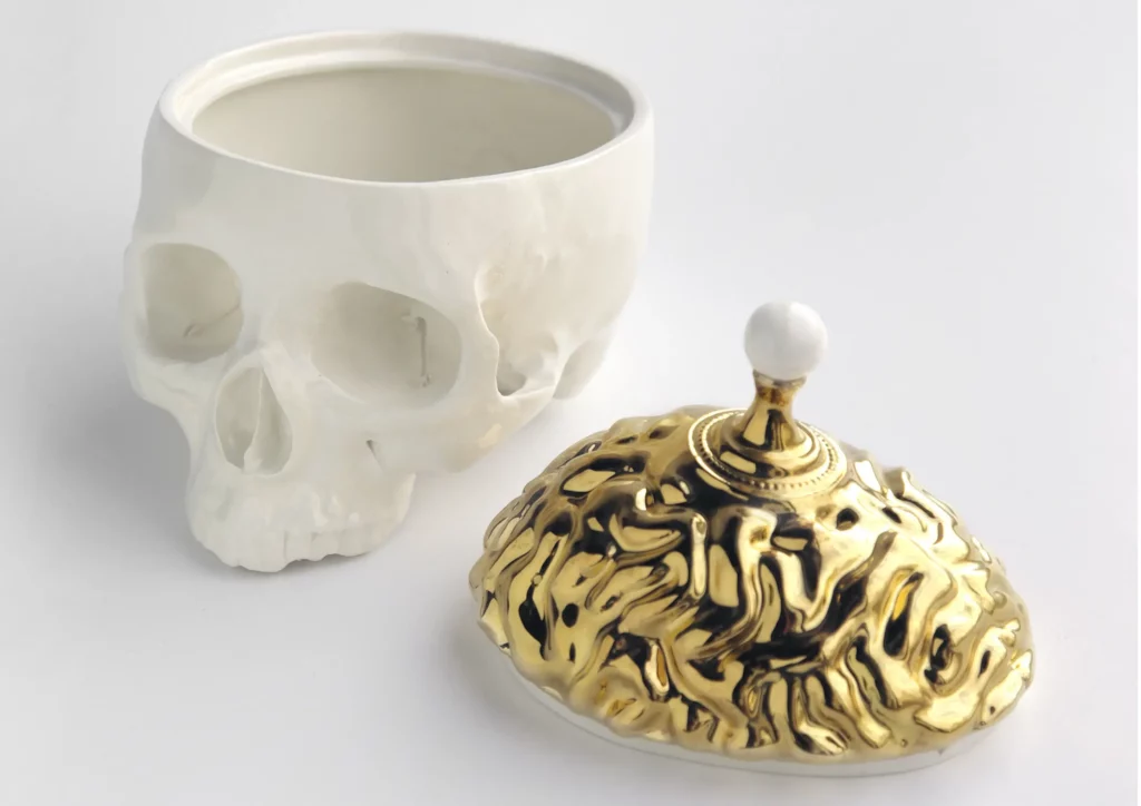 boite-cranienne-3 copie