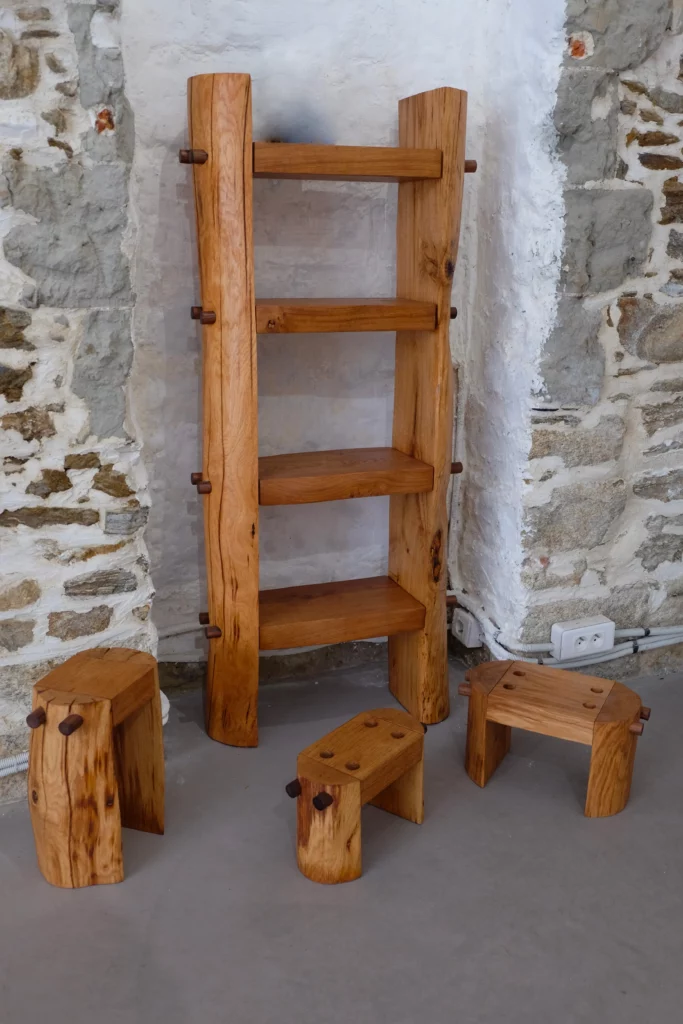 foret-domestiquée-g-thireau-encore-viavnt-galerie-mira copie