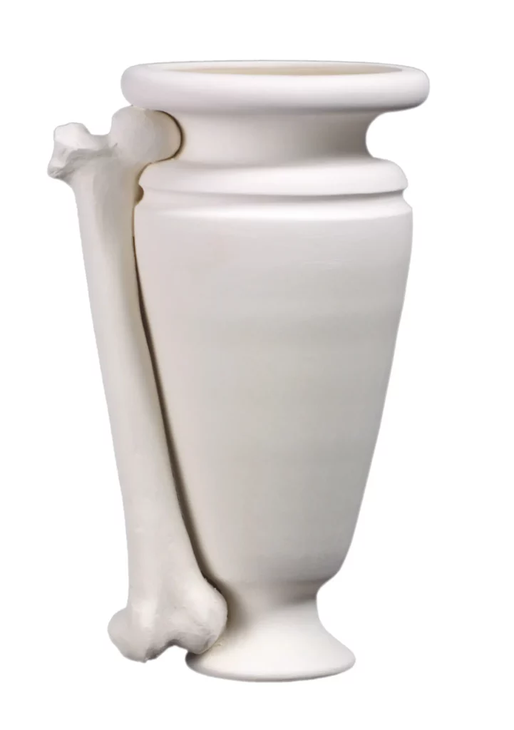 vase_femur2 copie