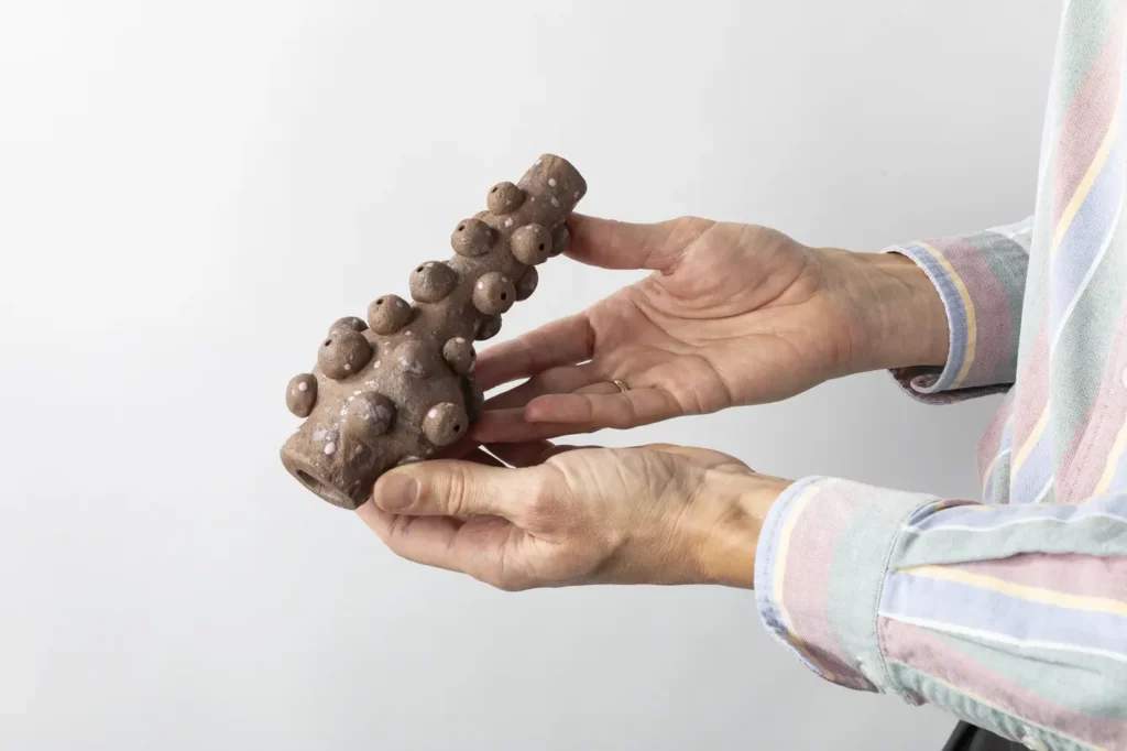 prise de vue sans titre-1547