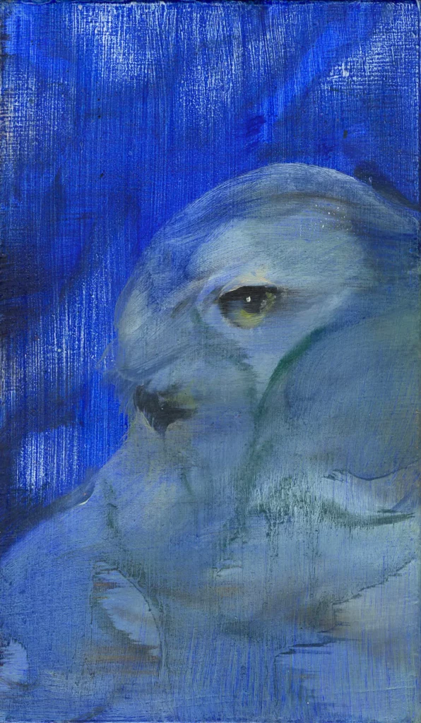 la-vérité-11x18,5 copie