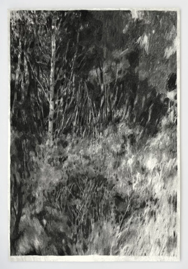 03. landes 03 _ 70x100cm.jpeg