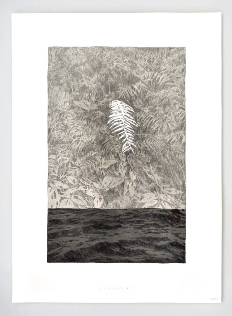 27. Lisière 2 _ 50x70cm _ stylo, graphite et encre de chine _ papier lanaquarelle 100� coton 640gr