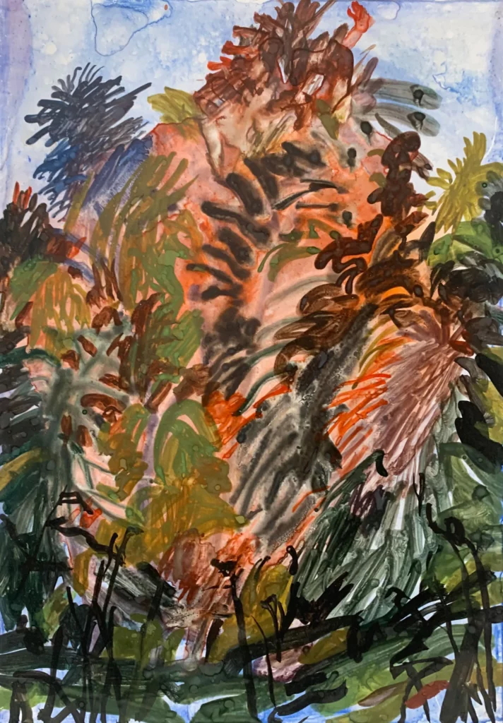 29,7x21cm-valfret-mira copie