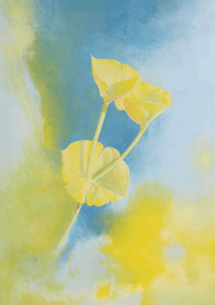 Esthetiques-fonctionnelles-emeric-rousteau-galerie-mira copie