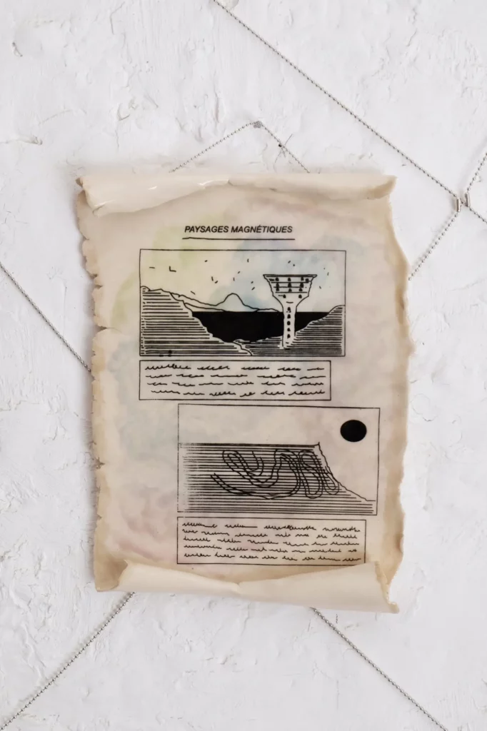 PAYSAGES MAGNÉTIQUES- copie