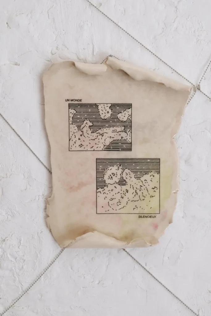 UN MONDE SILENCIEUX- copie