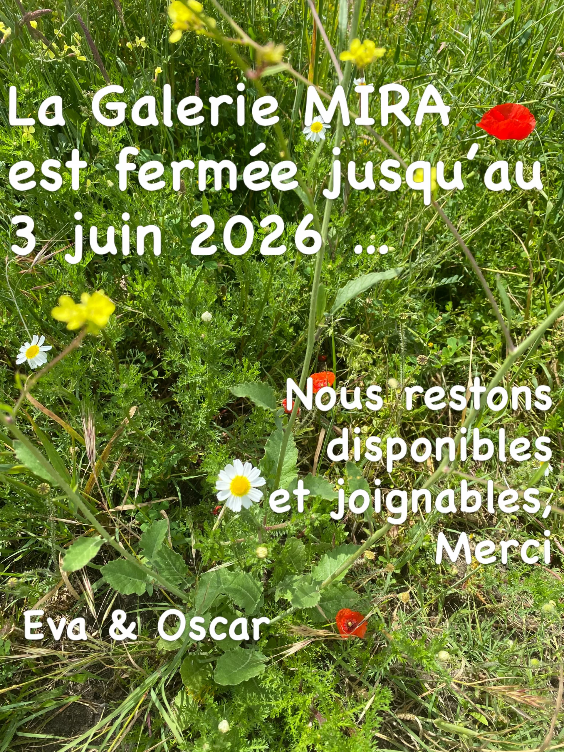 Pour raisons personnelles, nous sommes dans l’obligation de prolonger la fermeture de la Galerie MIRA jusqu’au 3 juin. Nous restons disponibles et joignables sur les réseaux et par mail. Nous avons bien hâte de vous retrouver. Prenez soin de vous - Eva & Oscar