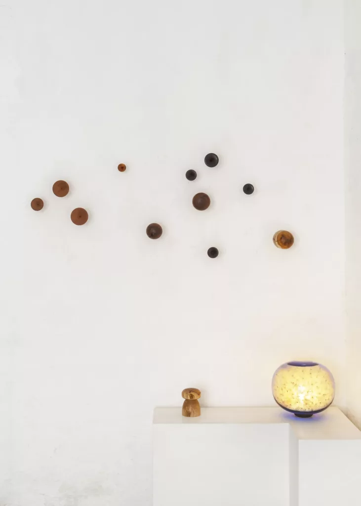 Champignons et pappus copie