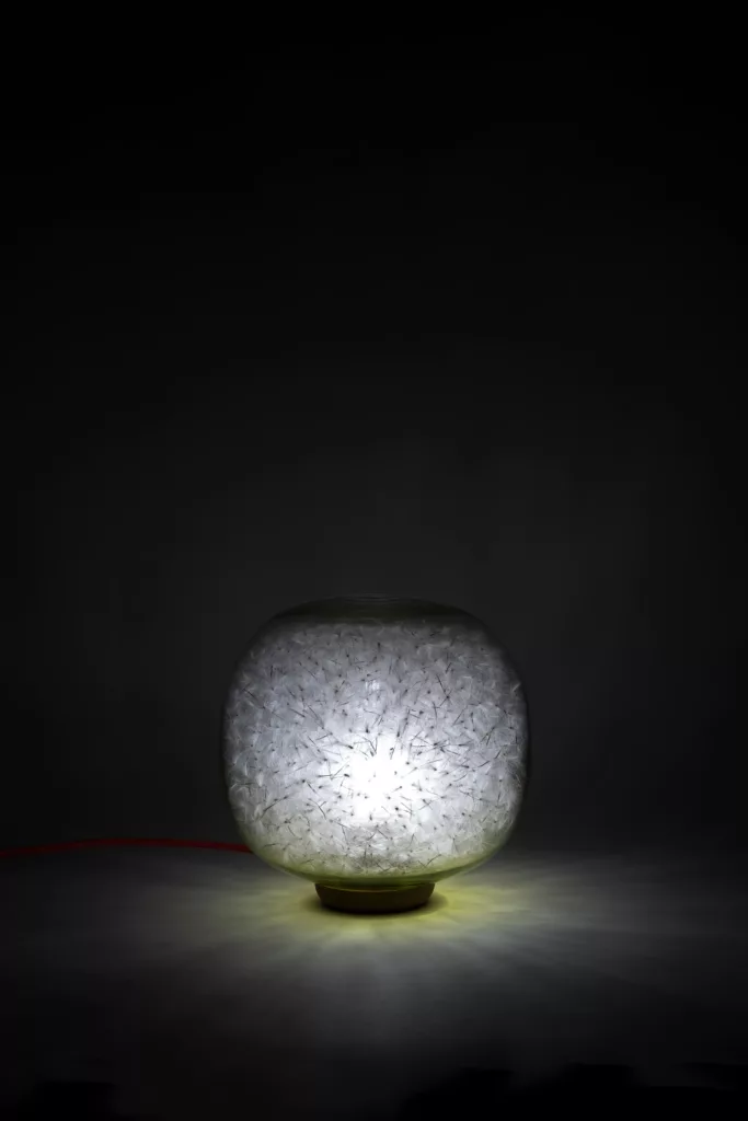 Mira_Exposition_PLOUC_04.21_47