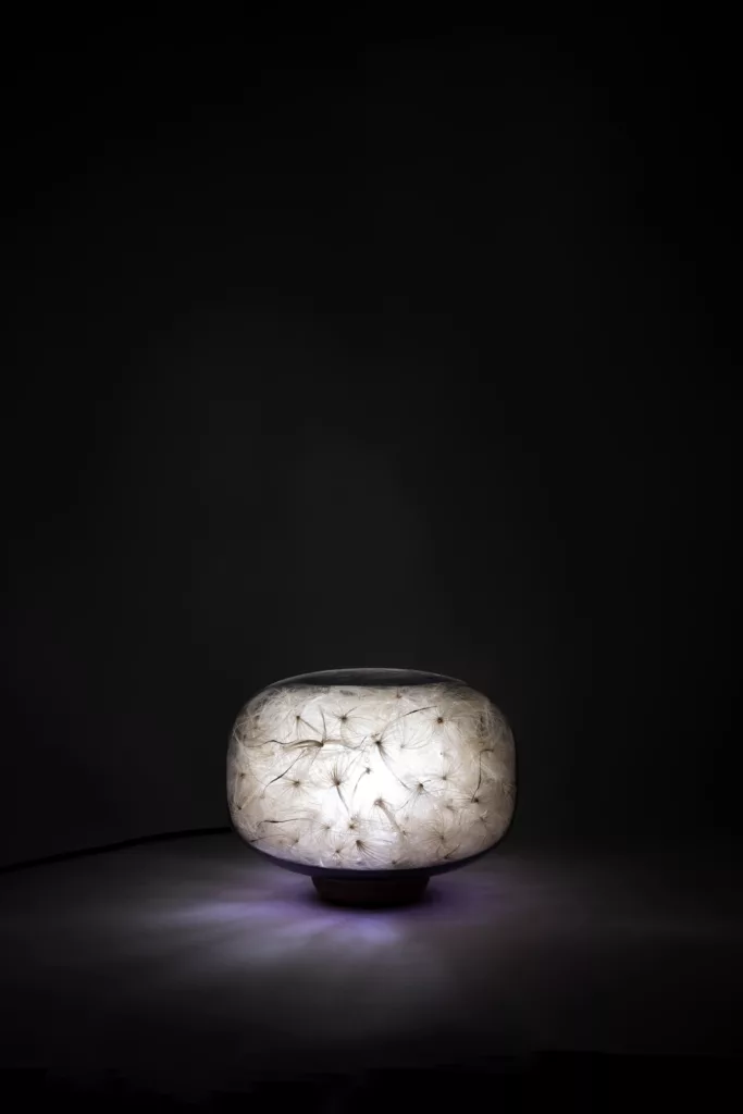 Mira_Exposition_PLOUC_04.21_48