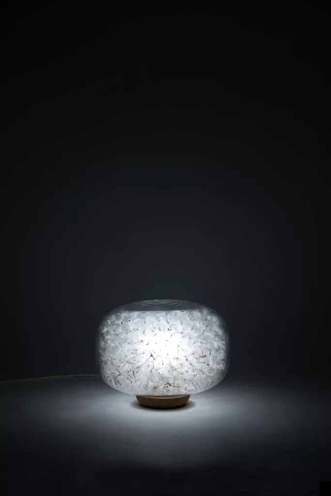 Mira_Exposition_PLOUC_04.21_49