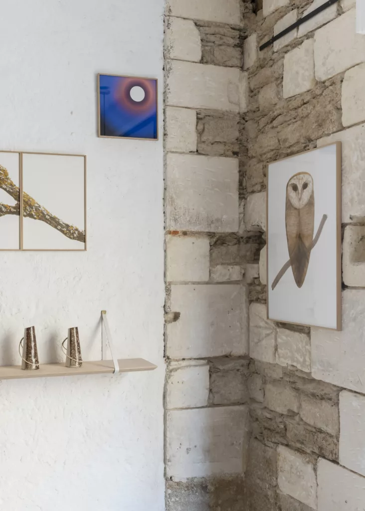 Mira_Exposition_PLOUC_04.21_8