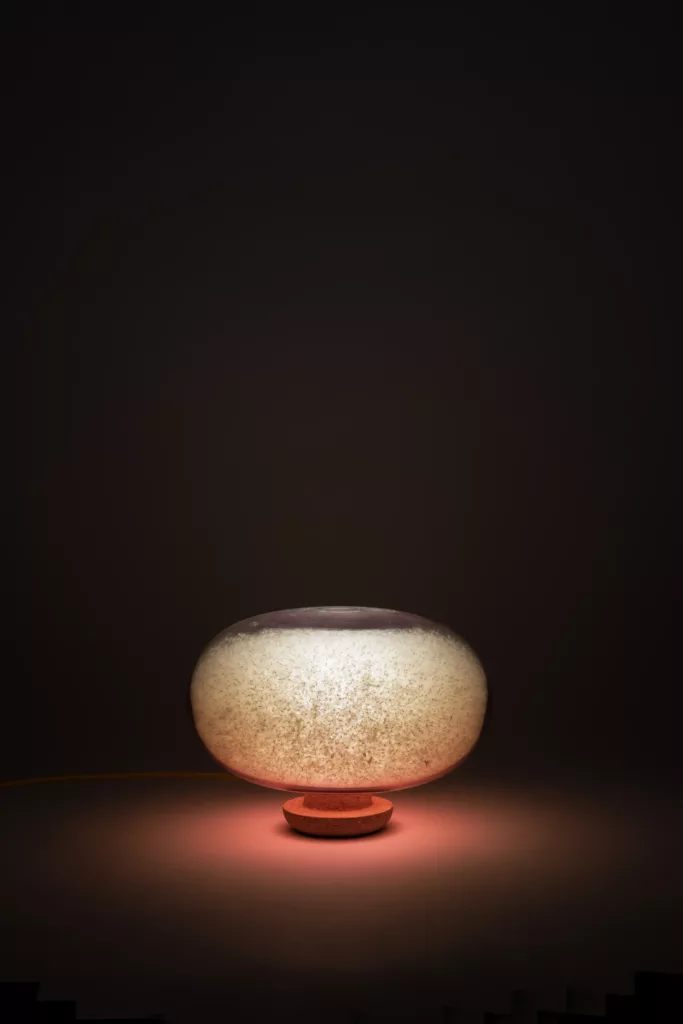 Pappus-rouge-faux-cotonnier