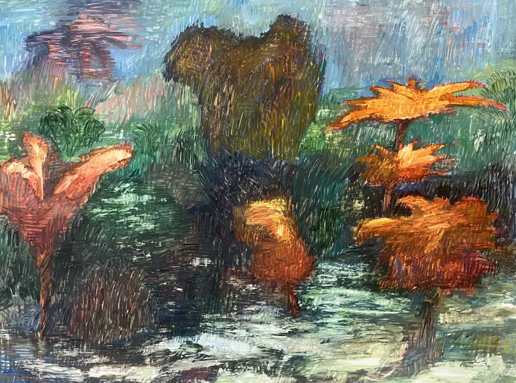 valfret-mira-com-visuel-paysage-1